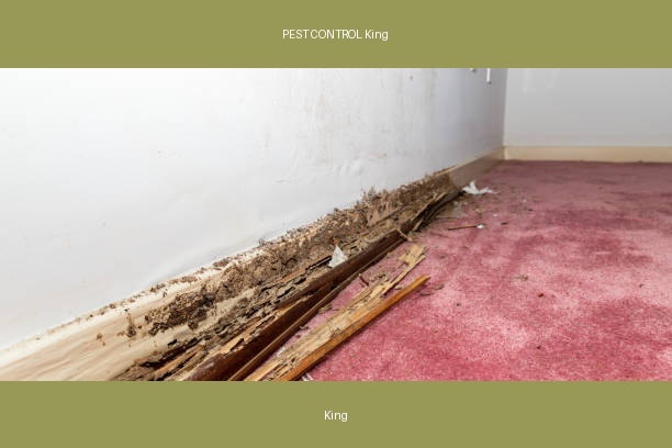 PEST CONTROL King